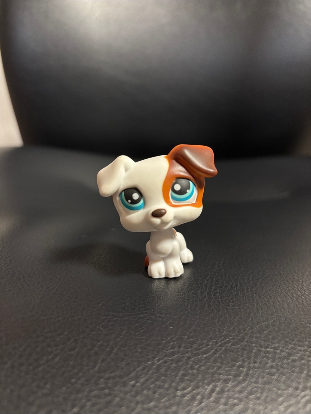 Littlest Pet Shop LPS #151 Jack Russel Dog With Teal Eyes 🩵